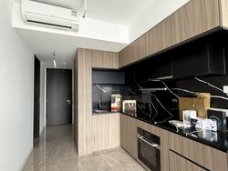 Irwell Hill Residences (D9), Apartment #464308221
